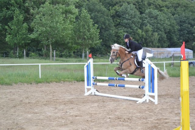 reitertag 2013 82